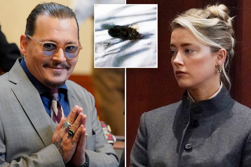 10 Most Shocking Moments In Amber Heard Johnny Depp Trial