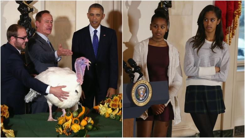 They didn&#039;t give a &#039;cluck&#039; at the turkey pardoning 19