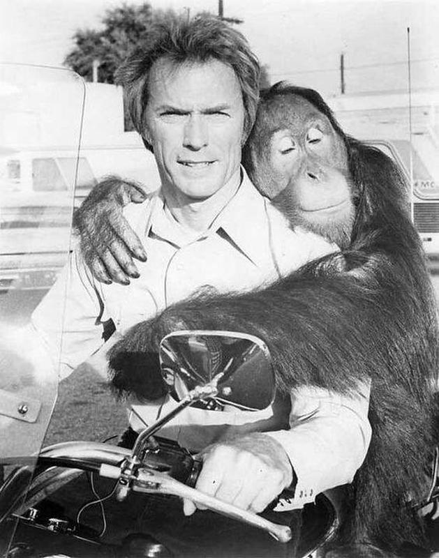 Every Which Way But Loose (1978) - Clint Eastwood and his &quot;sweet&quot; pet orangutan, Clyde 35