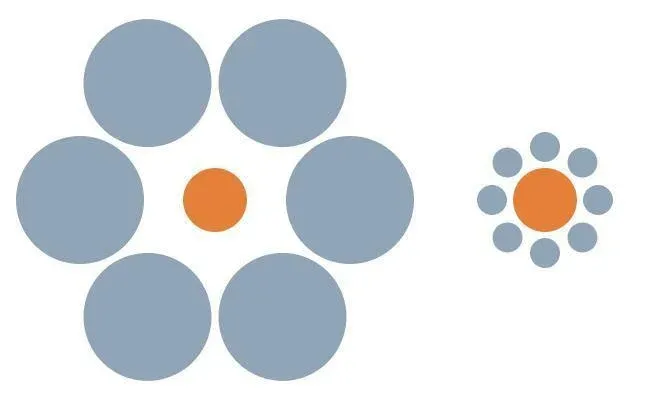 Which Orange Circle Is Bigger? 32