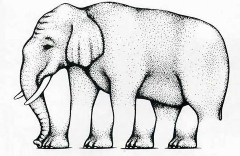 Impossible Elephant 8