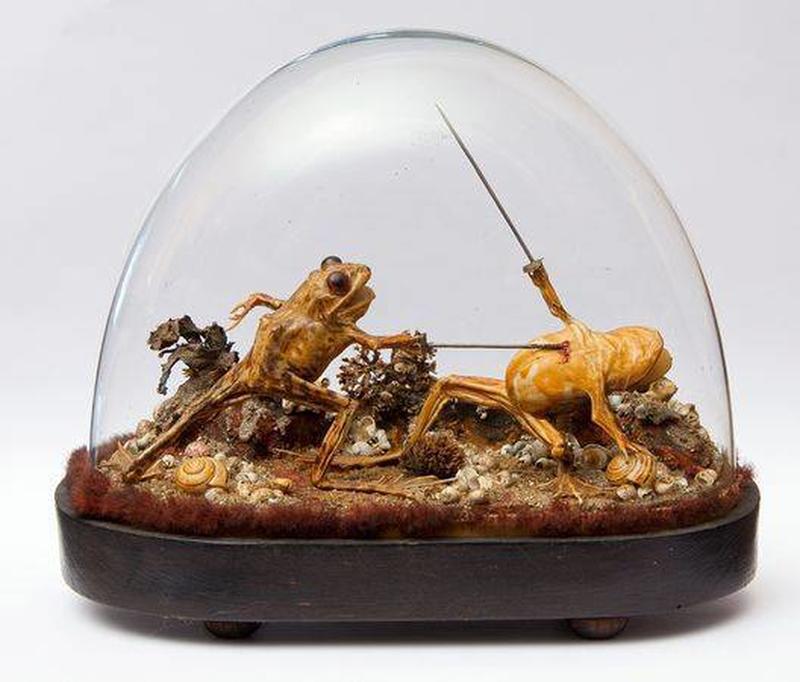 Frogs taxidermy found inside French mansion that had been sealed for 100 years.