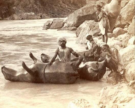 Using inflated bullock-skin boats to cross the river Sutlej in India, 1908.