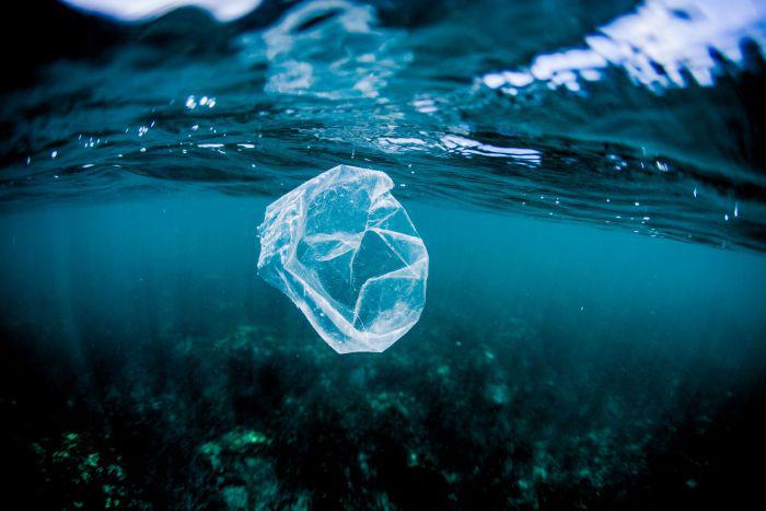 There Is More Plastic Than Plankton In The Oceans