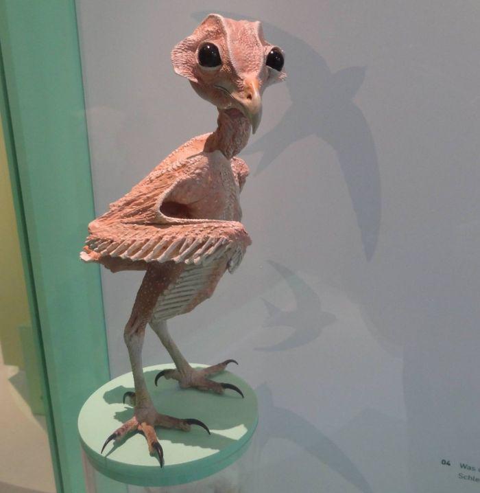 This Is What A Featherless Owl Looks Like.