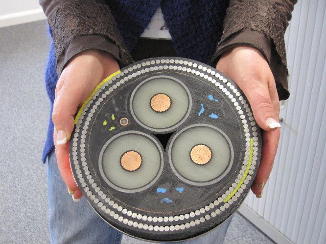 Cross Section Of An Undersea Cable.